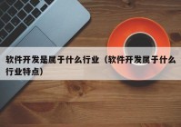 软件开发是属于什么行业（软件开发属于什么行业特点）