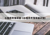 小程序开发项目（小程序开发项目计划）