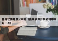 昆明软件开发公司哪（昆明软件开发公司哪家好一点）