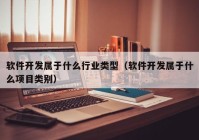 软件开发属于什么行业类型（软件开发属于什么项目类别）